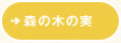 森の木の実