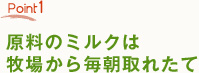 Point1　原料のミルクは牧場から毎朝取れたて